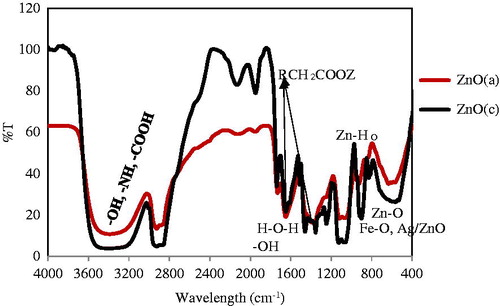 Figure 7. FTIR important spectroscopy of two nano products of ZnO (c) (black curve) and ZnO (a) with red line. It could characterized all the vacancy defect.