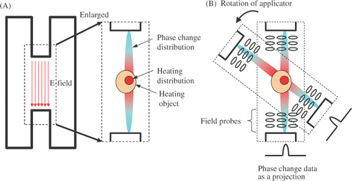 Figure 3. CT algorithm. Phase change distribution before and after a temperature change in a heating applicator (re-entrant cavity resonator) (A) is acquired as projection data at each rotational angle (B).