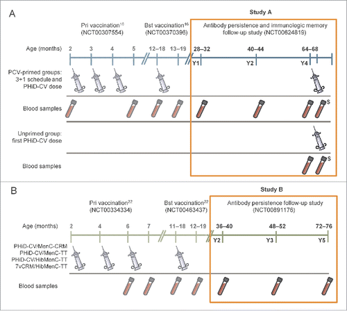 Figure 1. Study procedures for Study A and Study B. Notes: In Study A, all doses of PCVs were co-administered with DTPa-HBV-IPV/Hib at primary and booster vaccination (Finland, Poland and France), except for the 2nd dose in France that was co-administered with DTPa-IPV/Hib. In Study B, the PHiD-CV/MenC-CRM and PHiD-CV/MenC-TT groups received: the meningococcal vaccines as 2-dose primary vaccination in Germany and Spain, 3-dose primary vaccination in Poland (3rd dose received after blood sampling); PHiD-CV was co-administered with DTPa-HBV-IPV/Hib at primary vaccination and DTPa-HBV-IPV/Hib (Germany and Poland) or DTPa-IPV/Hib (Spain) at booster vaccination. In the PHiD-CV/HibMenC-TT and 7vCRM/HibMenC-TT groups, PCVs were co-administered with DTPa-HBV-IPV at primary vaccination and with DTPa-HBV-IPV (Germany and Poland) or DTPa-IPV (Spain) at booster vaccination. $Blood sample collected for immunologic memory assessment 7–10 days after the PHiD-CV dose at Y4, in Study A; Y = number of years following booster vaccination in PCV-vaccinated children; Pri = primary; Bst = booster; PCV = pneumococcal conjugate vaccine.