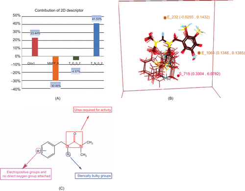 Figure 4.  Results of QSAR studies. (A) Contributions of 2D descriptors for biological activity developed using MLR equation (2D-QSAR). (B) Contributions of electrostatic and steric 3D data points towards biological activity developed using kNN–MFA method (3D-QSAR). (C) Pharmacophore requirement around benzyl urea.