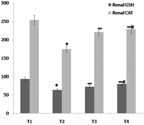 Figure 4. Comparison between group T1 (normal control group), group T2 (ARF model group), group T3 (ABE 100 mg/kg/day for 7 days) and group T4 (ABE 100 mg/kg/day for 7 days) regarding oxidative stress markers (renal GSH and renal CAT) when assessed 7 days after induction of ARF. Notes: The statistical significance between T the treated groups (T3, T4), T1 normal control group and T2 model group was determined using Tukey’s test. *p < 0.001 versus T1 normal control group, ∞p < 0.001 versus T2 ARF model group, #p < 0.001 versus T3 ABE (100 mg/kg/day)-treated group. T: treatment, ABE: Açai berry extract, ARF: acute renal failure, GSH: reduced glutathione.