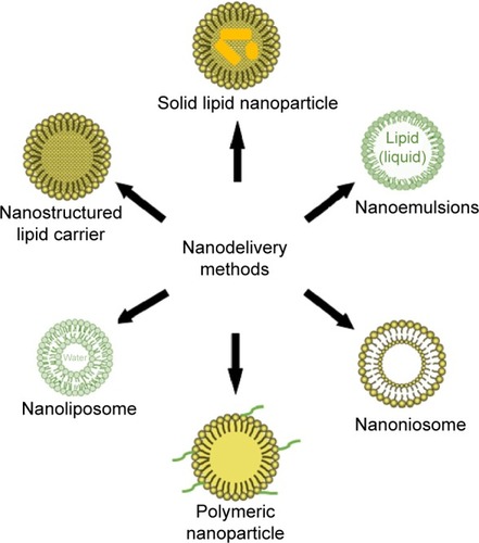 Figure 2 Nanotechnology delivery methods for producing nanosized phytobioactive compounds.