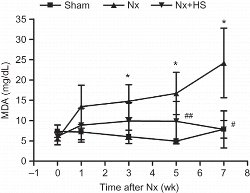 Figure 6. The effects of Hibiscus sabdariffa Linn. (HS) in lowering levels of malondialdehyde (MDA) in chronic kidney disease. Serum levels of malondialdehyde (MDA) are plotted at multiple time points for the sham control rats (sham: n = 4), placebo-treated 5/6 Nx rats (Nx: n = 8), and HS-treated 5/6 Nx rats (Nx+HS: n = 8).Notes: * Indicates that the p < 0.05 is between the Nx+HS group and the sham group. # Indicates that the p < 0.01 is between the Nx+HS group and the Nx group. ## Indicate that the p < 0.05 is between the Nx+HS group and the Nx group.