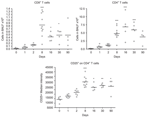 Figure 4.  Numbers of cytotoxic T-cells (CD3+ CD8+) and CD4+ T-cells, and median intensity of CD25 receptor expression on CD4+ T-cells in bronchoalveolar lavage fluid from nanosized TiO2 (5 mg/kg) exposed rats 0 (n = 5), 1 (n = 7), 2 (n = 7), 8 (n = 10), 16 (n = 5), 30 (n = 5), and 90 (n = 4) days after a single intratracheal instillation. Kruskal–Wallis test with Dunn’s post-test; value is significantly (*P < 0.05, **P < 0.01, ***P < 0.001) different vs. control.