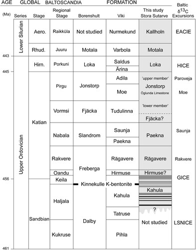 Figure 2. Proposed Upper Ordovician and lowermost Silurian stratigraphy of the Stora Sutarve core with correlation to previously drilled cores in the Swedish mainland (Borenshult core) and Estonia (Viki core). The stratigraphy of the Borenshult core is based on Bergström et al. (Citation2011, Citation2012b) whereas data from the Viki core are from Põldvere (Citation2010). Horizontal black lines in the Kahula Formation of the Stora Sutarve core indicates a series of 13 bentonites documented in this study. Any correlation with the widespread Kinnekulle K-bentonite requires further study. The approximate stratigraphic positions of Baltic δ13C excursions are based on Ainsaar et al. (Citation2010) and Bauert et al. (Citation2014).