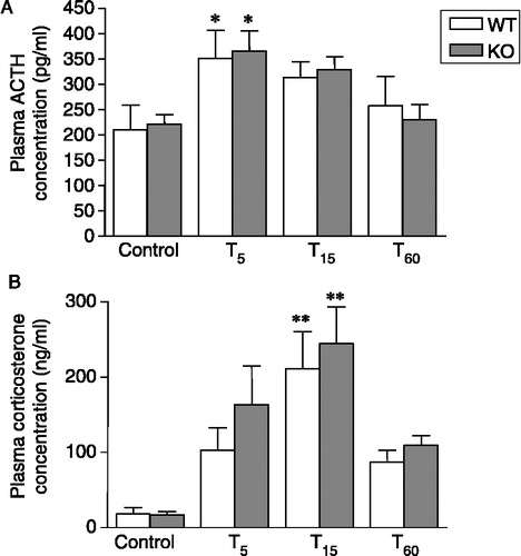 Figure 3 Plasma concentrations of (A) ACTH and (B) corticosterone in nNOS KO and WT mice under resting conditions (control) and 5, 15 and 50 min after a 10-min forced swimming session (T5, T15 and T60, respectively). Data are expressed as means ± SEM (n = 6–8 mice per group). In (A): *p < 0.05 vs. the respective control. In (B): **p < 0.01 vs. the respective controls. Two-way ANOVA followed by Fisher's LSD post hoc analysis.