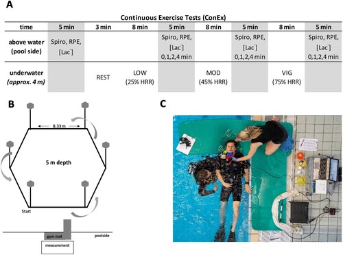 Figure 1. (A) Test procedure of the underwater performance test and the three continuous exercise tests (ConEx). Exercise intensity was controlled by individual percentages of heart rate reserve (HRR%) for low (low, 25% HHR), moderate (mod, 45% HRR), and vigorous exercise (vig, 75% HRR). (B) The underwater parcours setup for all underwater tests. (C) Measurement setup on the poolside for ConEx.