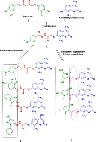 Figure 1. Design of coumarin-based analogs combined with curcumin derivatives and other different nitrogenous heterocyclic cores as anti-inflammatory candidates.