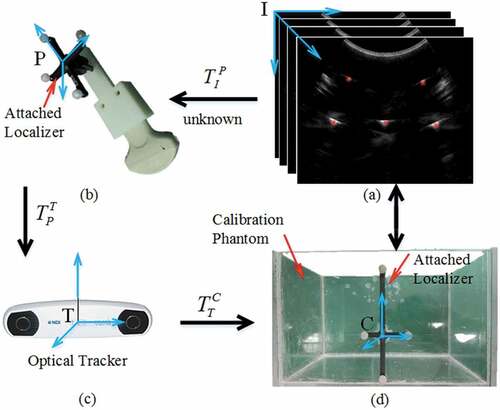 Figure 1. Transformations involved in calibration process. (a) Arbitrary wire intersection points visible in ultrasound images, (b) ultrasound probe with attached localizer, (c) sensor of optical tracking device, and (d) calibration phantom with attached localizer