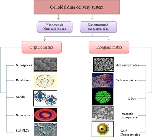 Figure 2. Colloidal nano delivery systems, modified after (Muller et al. 2009).