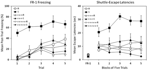 Figure 1. Percent freezing (left panel) and shuttle escape latencies (right panel) for 6 groups in Experiment 1. Two groups were exposed to traumatic shock stress (Group S) or simple restraint (Group R). Two other groups were pre-exposed to 3 d of restraint with interpolated days of rest followed by either restraint or traumatic shock (Groups r-r-r-R and r-r-r-S). Two other groups were pre-exposed to 5 d of restraint with interpolated days of rest followed by either restraint or traumatic shock (Groups r-r-r-r-r-R and r-r-r-r-r-S). Shuttle-escape testing occurred 24 h later. Freezing was measured over five trials (FR-1) at the start of the shuttle-escape test. Impaired escape performance was assessed over the next 25 trials (FR-2).