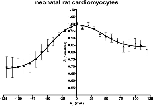 Figure 4 Summarized data gained from neonatal rat cardiomyocytes showing dependence of gap junction conductance on junctional potential Vj with an asymmetrical relationship for gj(normalized) = f(Vj). Average instantaneous gap junction conductance was (mean ± SEM): Gj = 14.01 ± 2.41 nS, n = 16.