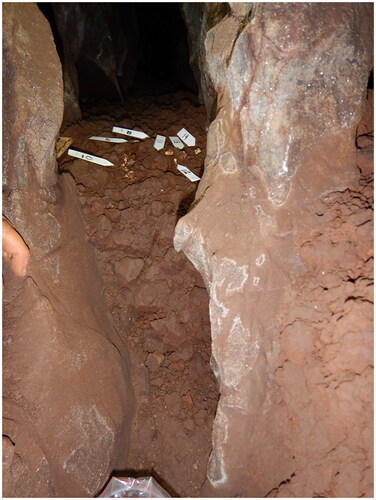 Figure 12. Sediment rise at back of passage U.W. 110 where elements of E-JUV #6 were recovered.