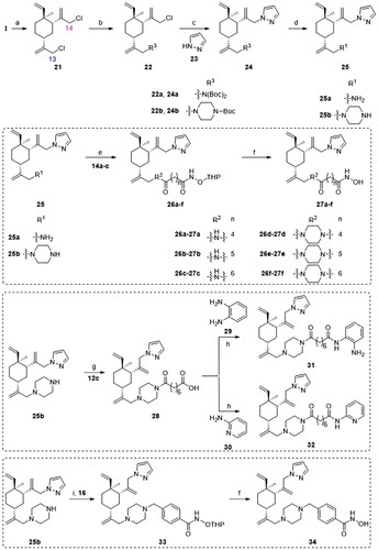 Scheme 2. Synthetic routes of the title compounds 27a–f, 31–32 and 34. Reaction conditions and reagents: (a) NaClO, AcOH, CH2Cl2, TBAF, 0 °C, 6 h; (b) Cs2CO3, DMF, 8 or 9, 50 °C, 8 h; (c) Cs2CO3, DMF, 23, 60 °C, 10 h; (d) HCl-Dioxane (4 M), rt, 8 h; (e) EDCI, HOBT, DIPEA, DMF, 14a–c, rt, 5 h; (f) TsOH·H2O, CH3OH, rt, 8 h. (g) (i) EDCI, HOBT, DIPEA, DMF, 12c, rt, 5 h; (ii) NaOH (aq), CH3OH, rt, 2 h; (h) EDCI, HOBT, DIPEA, DMF, rt, 5 h; (i) DIPEA, DMF, 16, 60 °C, 6 h.