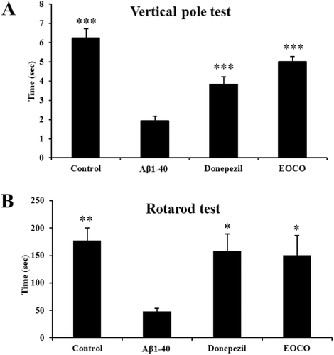 Figure 4.  Effects of EOCO on Aβ1–40-induced behavioral deficits. (A) Effects of EOCO on Aβ1–40-induced sensorimotor deficits in the vertical pole test. (B) Effects of EOCO on Aβ1–40-induced motor coordination and balance deficits in the rotarod test. The values shown are the mean latency ± S.E. (n = 7); *p < 0.05, **p < 0.01, ***p < 0.001, significantly different from Aβ1–40-treated group. Statistical significance was tested with the unpaired Student’s t-test.