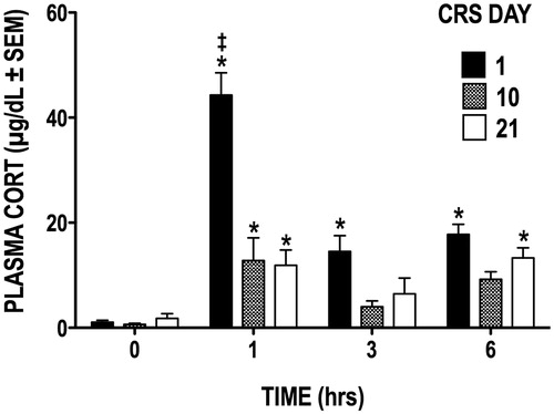 Figure 1. Plasma CORT levels during the CRS regimen. Restraint stress caused plasma CORT concentration to significantly increase from basal levels (hour 0) on days 1, 10, and 21 of CRS. *p < 0.05 versus basal levels at hour 0; ‡p < 0.05 versus days 10 and 21.