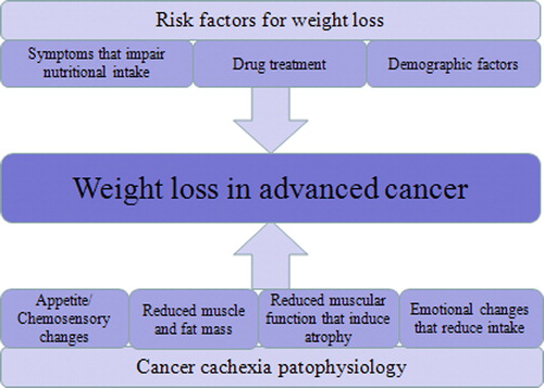 Figure 1. Factors that impact weight loss in cancer patients.