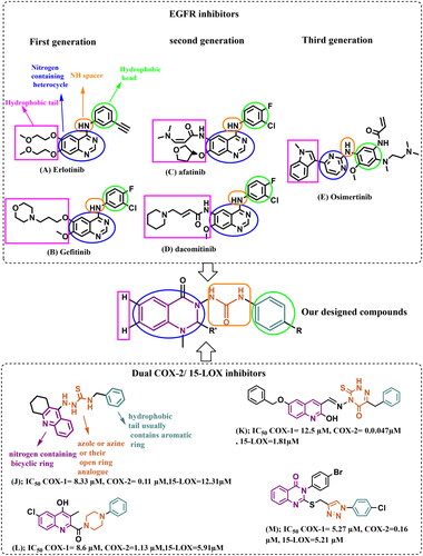 Figure 1. EGFR inhibitors (first, second, and third generations), some reported compounds as dual COX-2/15-LOX inhibitors, and the rationale for the design of our multi-target directed ligands (MTDLs).