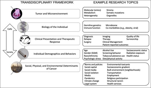 Figure 2. Transdisciplinary Framework. Left: HDFCCC priorities along the cells-to-society cancer continuum, as described in the text. Right: example research topics that align with the framework.