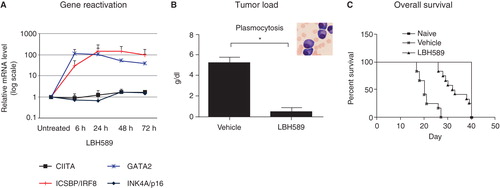 Figure 3. A: In a preclinical setting a few selected candidate target genes from the integrative genomic analysis were analyzed and found to be reactivated by chemical inhibitors in MM cell lines in vitro. B: Treatment with LBH589 significantly reduced tumor load in the 5T3MM mouse model, and also increased overall survival in this model (C). From Kalushkova et al. (Citation10) with permission.