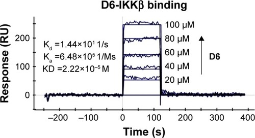 Figure 4 Direct-binding affinity between D6 and IKKβ demonstrated by SPR. Note: Ka, Kd, equilibrium dissociation constant.