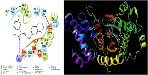 Figure 2. Presentation interactions of molecule 12 with S. aureus protein.