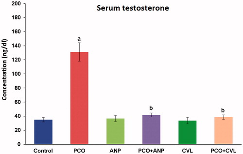 Figure 10. Comparative assessment of serum testosterone concentrations in control and experimental groups of rats. aA significant difference between control and other treated groups at p < 0.05 level. bSignificant difference among PCO−, PCO + ANP−, and PCO + CVL-treated groups at p < 0.05 level. CVL, carvedilol; ANP, ANGIPARS™; PCO, polycystic ovary.