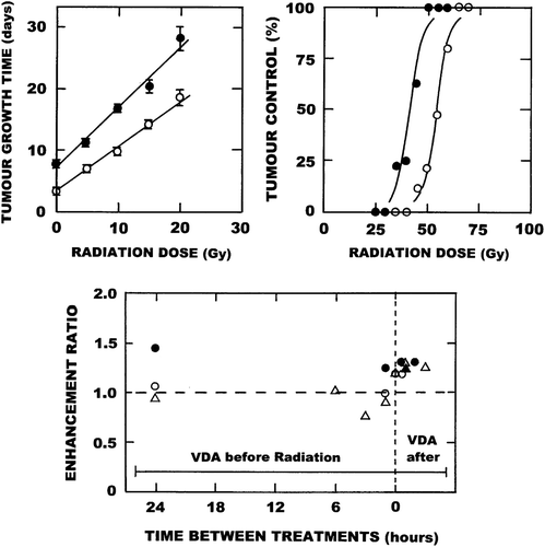 Figure 2. The effect of VDAs on the radiation response of C3H mammary carcinomas. Left panel top: Tumour growth time (time for tumours to grow to three times treatment volume) following local tumour irradiation. Results are the means (± 1 S.E.) from 6–8 mice per group with the lines fitted following linear regression analysis using individual data points. Right panel top: The percentage local tumour control obtained 90 days after irradiation. Results are from 8–19 mice per group, with the curves fitted following logit analysis. For both figures the results are for radiation alone (○) or radiation followed by an injection with OXi4503 (50 mg/kg) two hours later (●). Bottom panel: Enhancement ratios (ER; ratio of the effect of radiation alone and radiation plus VDA) as a function of varying the time interval and schedule between radiation and VDA treatment. These ERs were calculated from the data shown in the top panels, plus similar unpublished and published data [Citation23–26]. Radiation was always given at time zero and no enhancement of radiation response is represented by an ER of 1.0. Points are for FAA (▲), DMXAA (∆), CA4P (○), and OXi4503 (●).