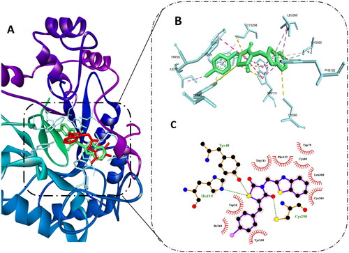 Figure 4. Molecular docking of 8b in the active site of aldose reductase PDB: 3g5e. (A) Compound 8b (green) aligned with the co-crystallised ligand (red). (B) 3D binding interaction of the hybrid 8b with active site residues of aldose reductase. (C) 2D interaction of compound 8b with active site residues of aldose reductase.