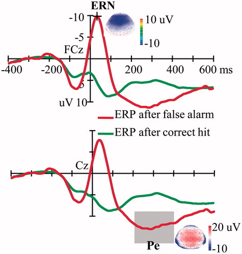 Figure 3. ERPs time-locked to the false alarms and correct hits. The topographic maps show the scalp distributions of the peak of the Ne/ERN component and the mean amplitude of the Pe component (200–400 ms). Ne/ERN, Error-related negativity; Pe, error positivity.