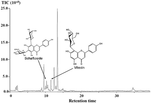 Figure 2. Total ion chromatograms in LC–MS (TOF) of the aqueous extract of TLL; peak 1 = schaftoside, peak 2 = vitexin.