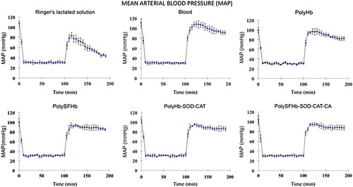 Figure 1. Mean arterial blood pressure. 2/3 volume of blood was removed to result in 90 min of hemorrhagic shock at MAP of 30 mmHg. After this, different fluids were reinfused. Reinfusion with 3 volumes of lactated Ringer's solution increased MAP transiently and fell to 43.3 ± 2.8 mmHg. Blood (Hb 15 g/dl) maintained the MAP at 91.3 ± 3.6 mmHg, while polyHb-SOD-CAT-CA (Hb 10 g/dL) maintained it at 87.5 ± 5 mmHg, polyHb-SOD-CAT at 86.0 ± 4.6 mmHg, polySFHb at 85.0 ± 2.5 mmHg, and polyHb at 82.6 ± 3.5 mmHg.