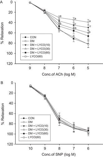 Figure 1.  Effect of different doses of lycopene ACh-induced endothelium-dependent vasorelaxation (A) and SNP-induced endothelium-independent vasorelaxation (B) in thoracic aortic rings in the presence of indomethacin. Relaxation responses to acetylcholine (ACh) and sodium nitroprusside (SNP) were expressed as a percentage of relative to phenylephrine (PE)-induced submaximal constriction. All data are mean ± SEM; n = 6 rats in all groups. aP < 0.01 versus control (CON) group, bP < 0.01 versus diabetic mellitus (DM) group, and cP < 0.05 versus DM group.
