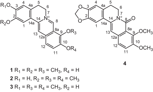 Figure 1.  Structure of alkaloids 1–4 isolated from the whole plant of Argemone mexicana.