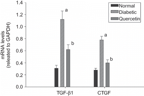 Figure 1. Gene expressions of transforming growth factor-β1 (TGF-β1) and connective tissue growth factor (CTGF) were quantified by real-time PCR in the renal tissues of three groups (n = 8). Data are presented as fold change of transcripts for target gene in indicated groups normalized to GAPDH.Note: ap < 0.01 for differences versus control group; bp < 0.01 for differences versus diabetic group.