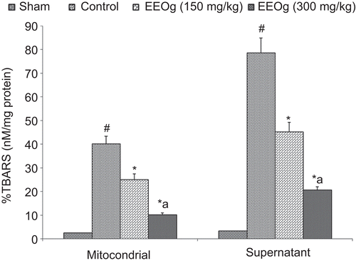 Figure 2.  Effect of ethanol extract of O. gratissimum (EEOg) on thiobarbituric acid reactive substances (TBARS) formation in brain of rats subjected to focal cerebral ischemia and 24 h reperfusion injury. The data are expressed as mean ± SD; n = 7; ANOVA followed by Tukey’s post hoc multiple range test; #p <0.05 versus sham; *p <0.05 versus control; ap <0.05 versus 150 mg/kg dose of EEOg.