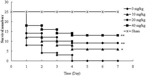 Figure 1. Effect of AT-I on survival of mice after CLP surgery. Mice were divided into five groups (n = 25): sham, control (0 mg/kg), AT-I (10, 20, and 40 mg/kg, ip). The mice were observed for 7 days. Asterisks indicated significant difference from control group, *p < 0.05, **p < 0.01.