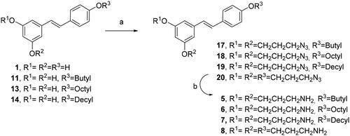 Scheme 4. Synthesis of diamino and triamino alkyl resveratrol derivatives 5–8. Reagents and conditions: (a) i. BrCH2CH2CH2Cl, K2CO3, DMF, 80 °C, 5 h. ii) NaN3, DMF, 50 °C, 16 h; (b) PPh3, THF, 16 h.
