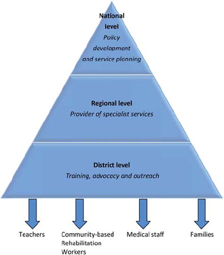 Figure 1. Recommended speech-language pathology structure in the health sector in Uganda.