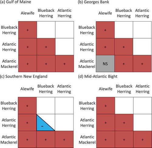 FIGURE 6. Raster diagrams illustrating the effects of species abundances on overlap observed during the Northeast Fisheries Science Center’s spring bottom trawl survey in (a) the Gulf of Maine, (b) Georges Bank, (c) southern New England, and (d) the Mid-Atlantic Bight (red, + = positive effect; blue, – = negative effect; gray, NS = no significant effect).