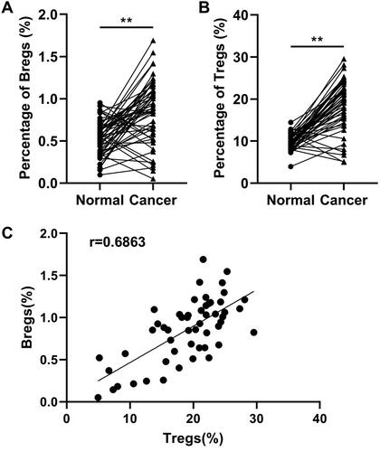Figure 1. Percentage of (A) Bregs and (B) Tregs in cervical cancer. (C) Positive association between Bregs and Tregs (r = 0.6863, confidence interval: 0.5108–0.8069). The t-test was used to analyse data between normal and cancer groups, and spearman rank correlation test was used to analyse the relationship between Tregs and Bregs. **p < 0.01.
