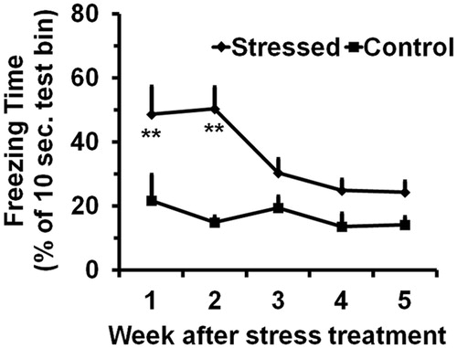 Figure 1. Effect of the SPS treatment on freezing behavior. Values are means and SEM of the freezing time (% of 10 sec test bin). The significance (**p < 0.01) of the stress treatment compared to the controls based on Fisher’s LSD test is indicated below each time point.