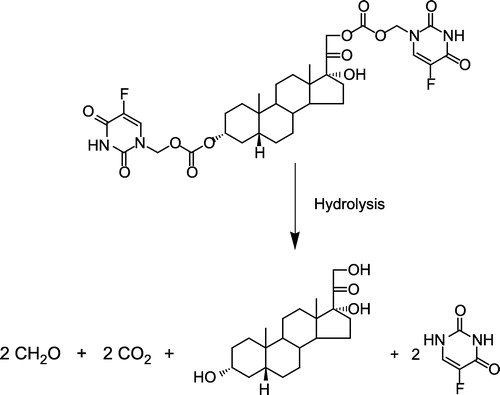 Figure 3 Proposed hydrolysis of the model THS-BIS-5FU codrug (11). One molar equivalent of codrug should generate 1 molar equivalent of THS, 2 molar equivalents of 5FU, and 2 molar equivalents of both formaldehyde and carbon dioxide.