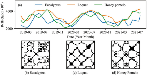 Figure 3. Time series near-infrared reflectance (a) and corresponding recurrence plots for eucalyptus (b), loquat (c), and honey pomelo (d).