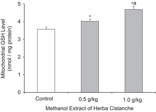 Figure 1.  A methanol extract of Herba Cistanche affects mitochondrial reduced glutathione levels in rat hearts. Animals were orally treated with a methanol extract of Herba Cistanche at the indicated daily doses for 3 consecutive days. Mitochondrial reduced glutathione (GSH) levels were measured as described in “Materials and methods.” Each bar represents mean ± SEM, with five animals/group. *Significantly different from control group; asignificantly different from group pretreated with 0.5 g/kg extract.