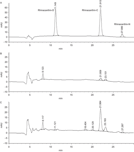 Figure 2.  HPLC chromatograms of the standard rhinacanthin (A) and R. nasutus root culture extracts; the root culture in MS liquid medium (B) and in MS semisolid medium (C).
