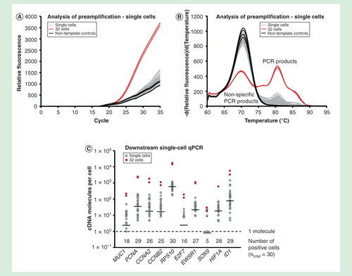 Figure 8. Single-cell analysis. Gene expression profiling of 30 individual MCF-7 cells using targeted preamplification. Analysis of preamplification: (A) preamplification curves and corresponding (B) melting curves for reactions in the presence of 1 µg/µl bovine serum albumin and 2.5% glycerol. (C) Dot plots displaying the expression pattern of 10 selected genes.