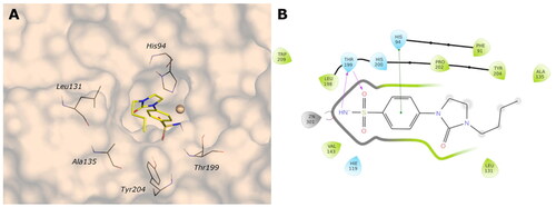 Figure 6. (A) Predicted 3D binding mode and (B) corresponding ligand interaction diagram of the most selective ligands 9c (yellow) in the hCA I (light salon). The compound is represented as the stick and the protein surface is visualised.