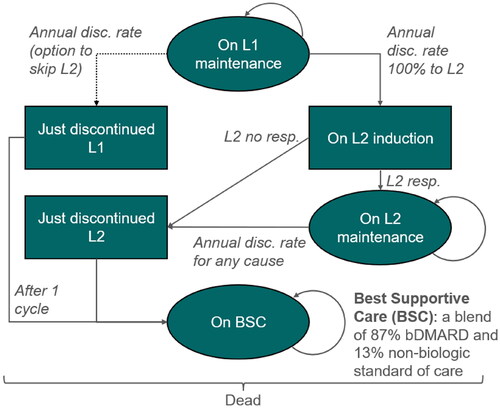 Figure 3. Model structure: Markov model as from second year of treatment until death. Initial distribution determined by outcome of decision tree. Three-month Markov cycles until end of horizon (or death). BSC, best supportive care; disc, discontinuation; L1/2, biologic line 1/2; resp, responder.