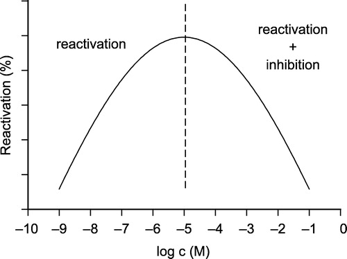 Scheme 6 Bell-shaped curve of reactivation process.